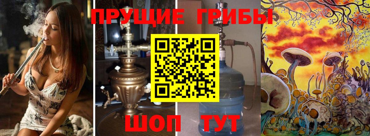 Галлюциногенные грибы MAGIC MUSHROOMS Апатиты